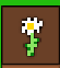Thumbnail for version as of 20:24, 8 February 2021