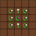 Thumbnail for version as of 21:44, 13 March 2021