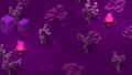 Thumbnail for version as of 01:14, 24 February 2021