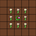 Thumbnail for version as of 21:43, 13 March 2021