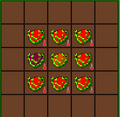 Thumbnail for version as of 20:38, 11 March 2021