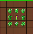 Thumbnail for version as of 21:59, 8 February 2021