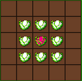 Thumbnail for version as of 20:34, 11 March 2021