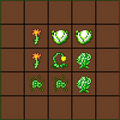 Thumbnail for version as of 21:43, 13 March 2021