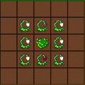 Thumbnail for version as of 20:36, 11 March 2021
