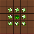 Thumbnail for version as of 20:41, 11 March 2021